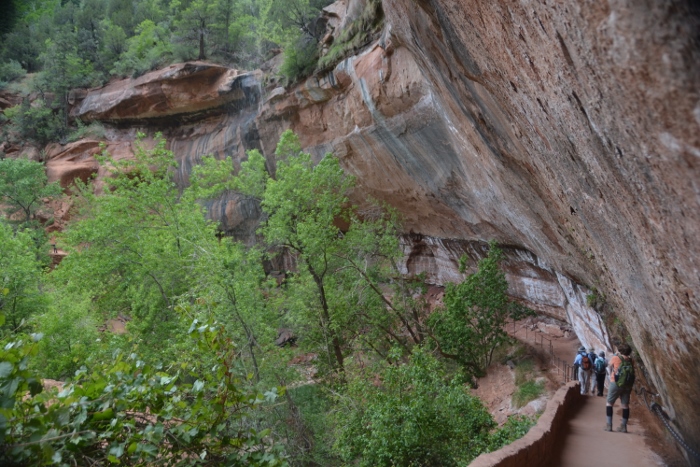 In the Kayenta-Emerald Pools Trail